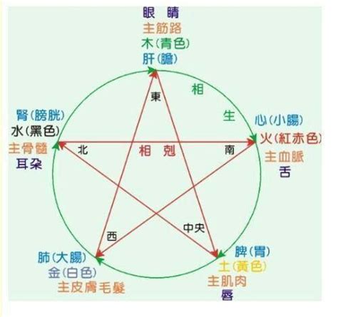 林 五行屬性|【林屬五行】探索「林屬五行」，發現林字的深意與五行屬性！